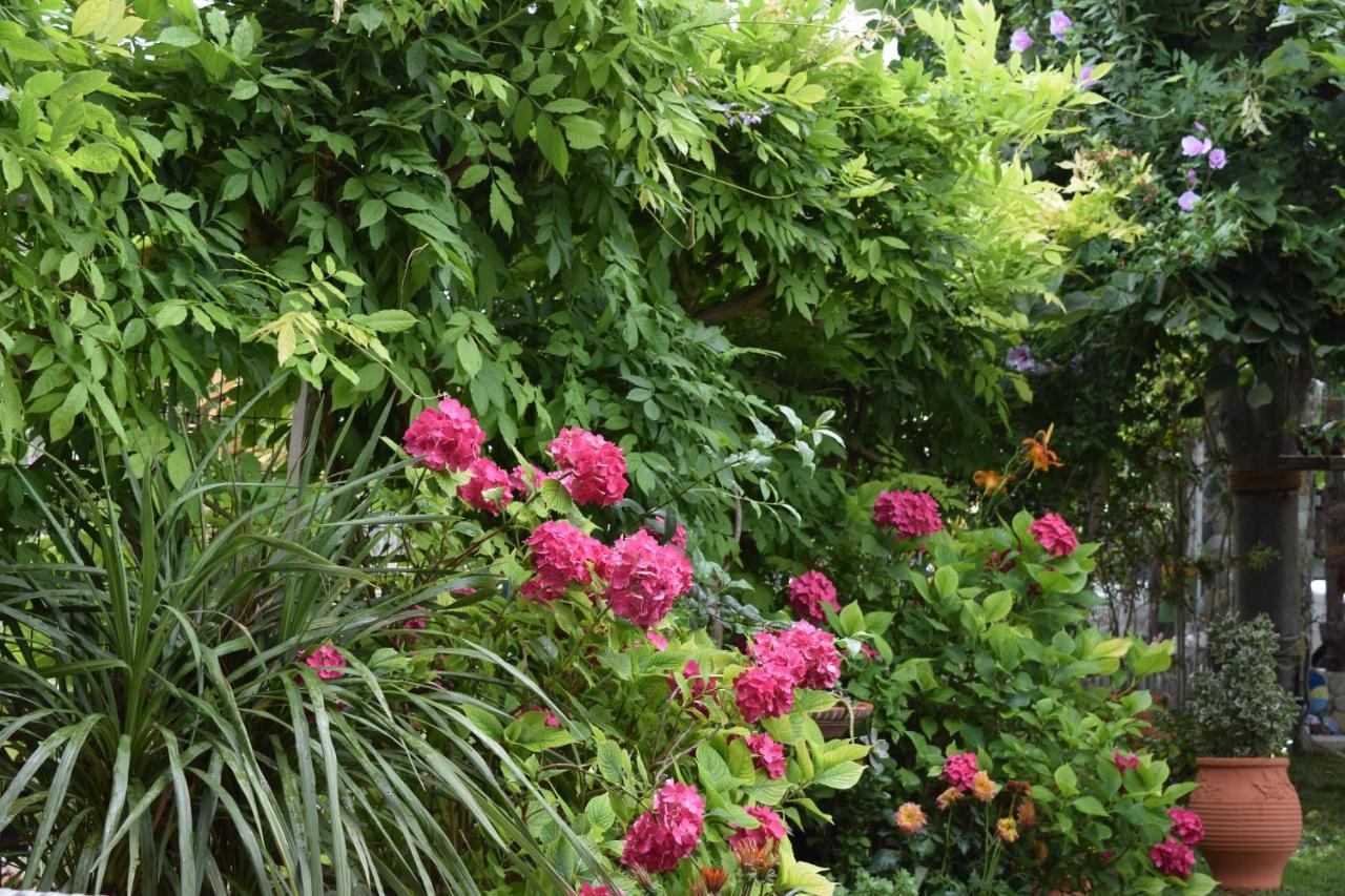 Garden'S Villa Лептокария Екстериор снимка